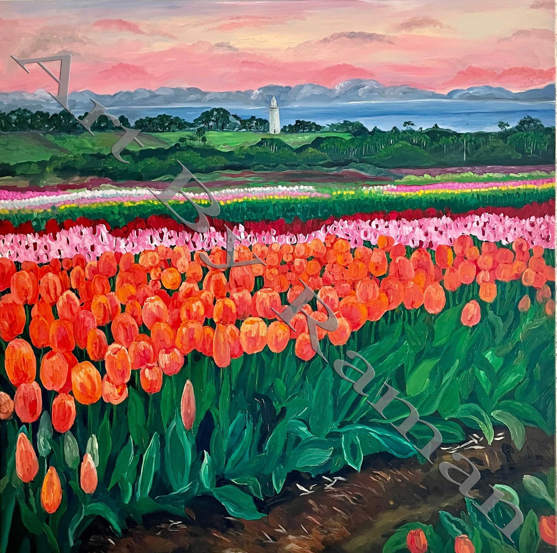 Tulip farm