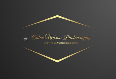Chloe Neilson Photography