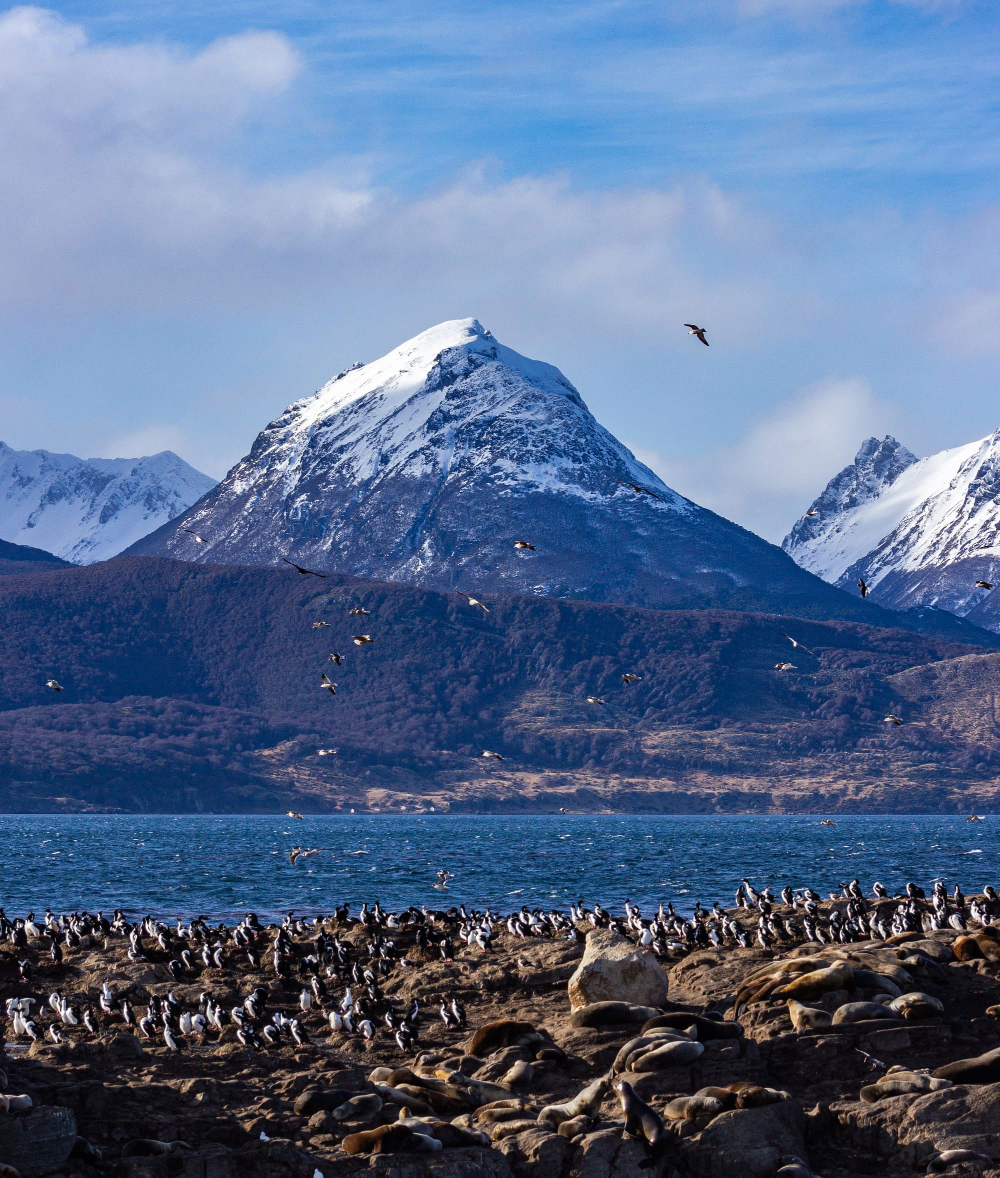 Canal Beagle - Ushuaia