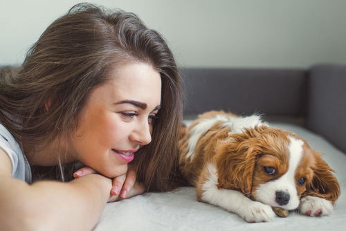 Benefits of Talking To Your Pets
