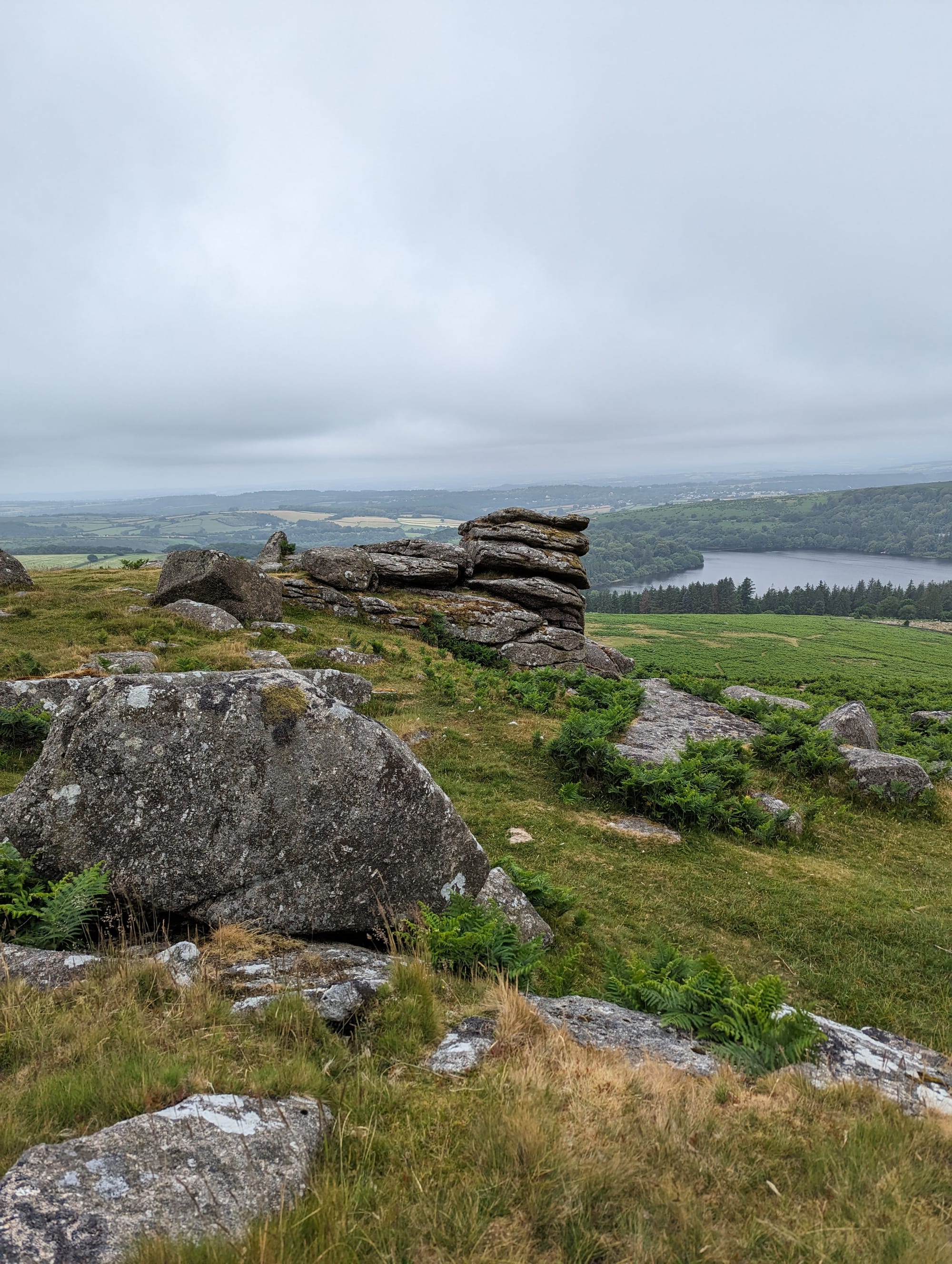 The Tors of Dartmoor