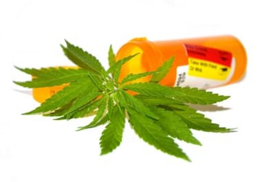 How to Choose the Right Marijuana Dispensary? image