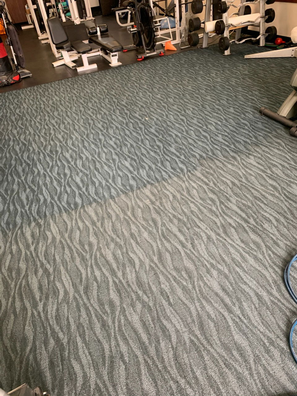 Local Gym. Commerial glue down carpet. Waste water was jet black!