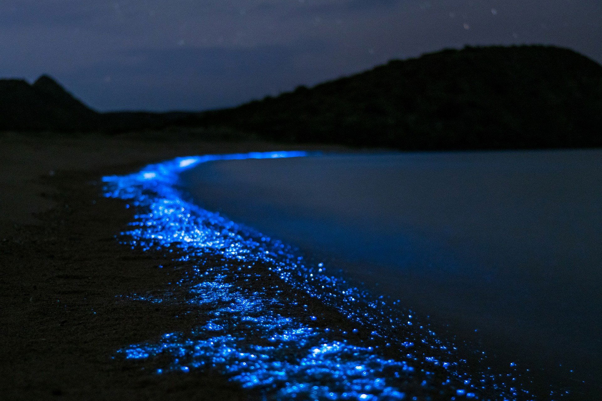 Tour de Bioluminiscencia