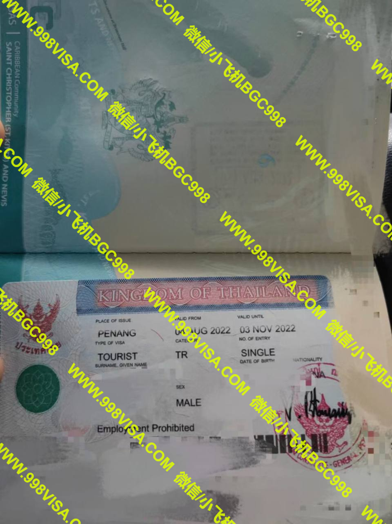 第三国护照办理泰国入境签证 免面签