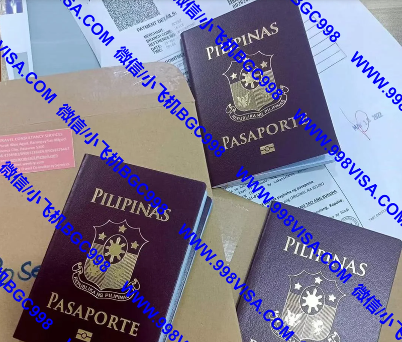 菲籍护照  一步到位 拿第二国护照