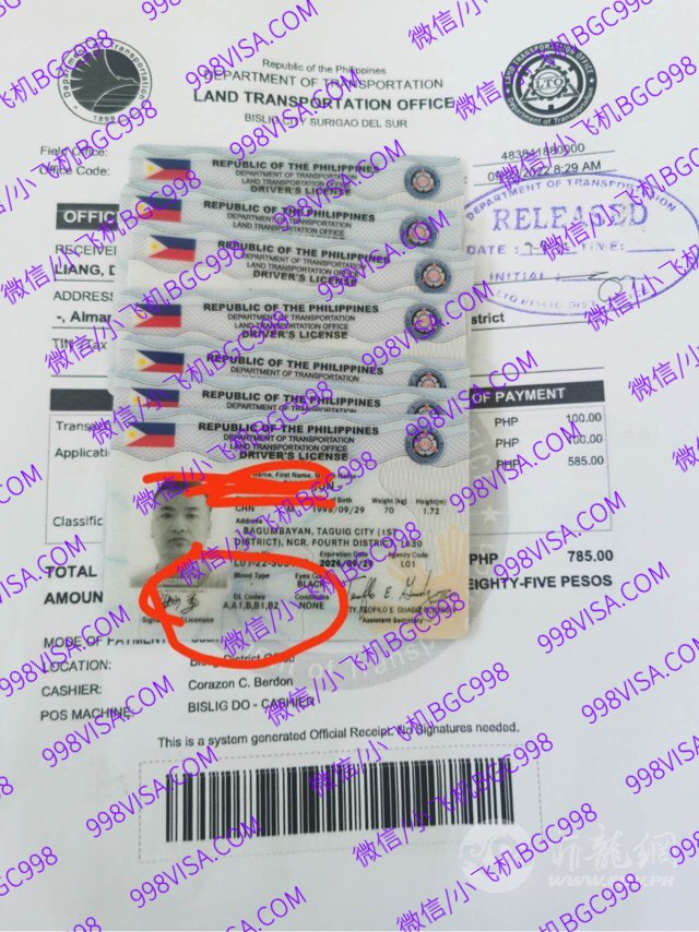 菲律宾驾驶证好申请吗？
