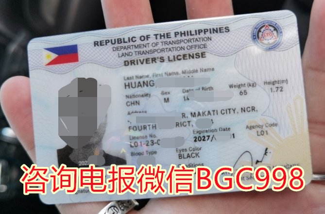 菲律宾驾驶证快速获取方式