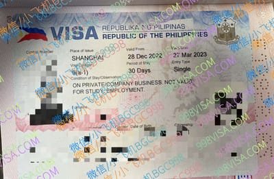 菲律宾100%入境方法