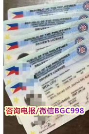 菲律宾外国人怎么办理驾驶证