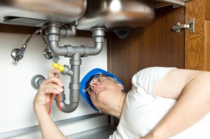 Roles of a Master Plumber image