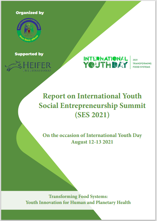NEDI report on Social Entreprenurship Summit (2021)