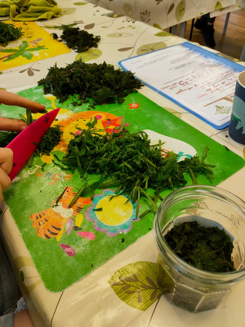 Junior Herbalist Club, Hartley Witney