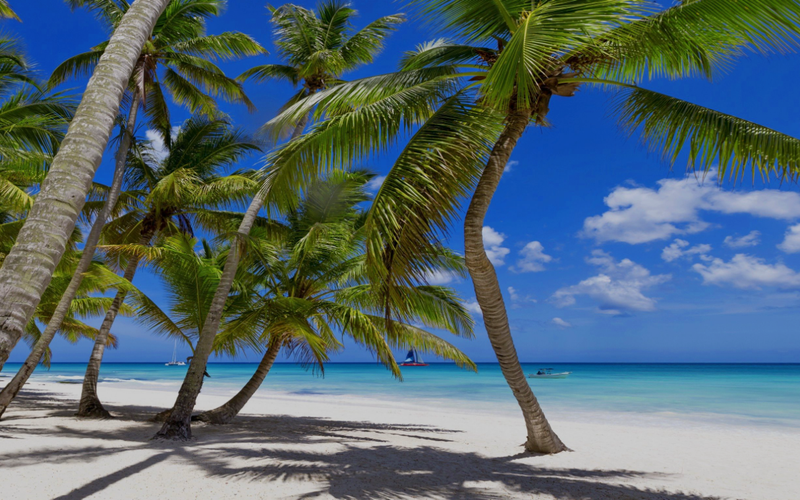 Real Estate Investment Funds in the Dominican Republic. PUJINVEST