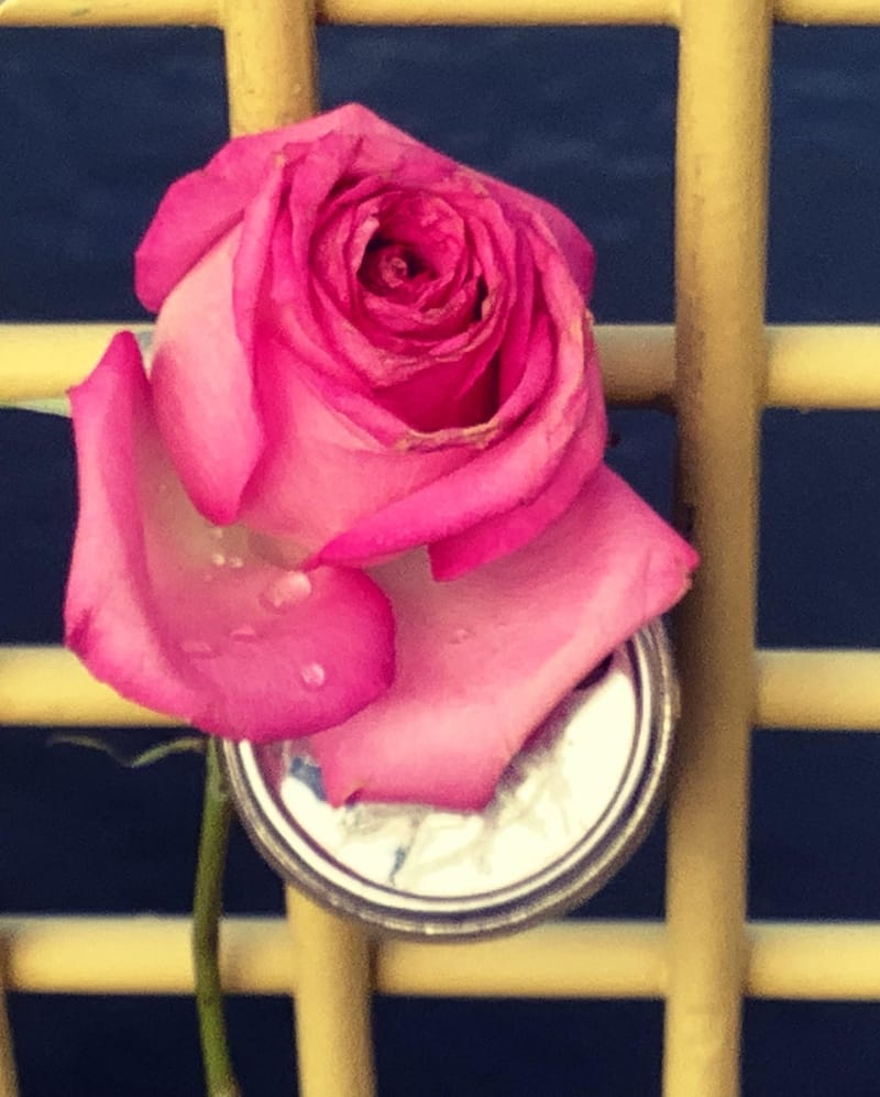 Cracking the code my struggle with opening combination locks Michelle