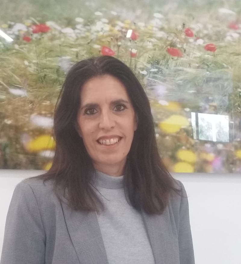 ‫זיזיל קצב‬‎