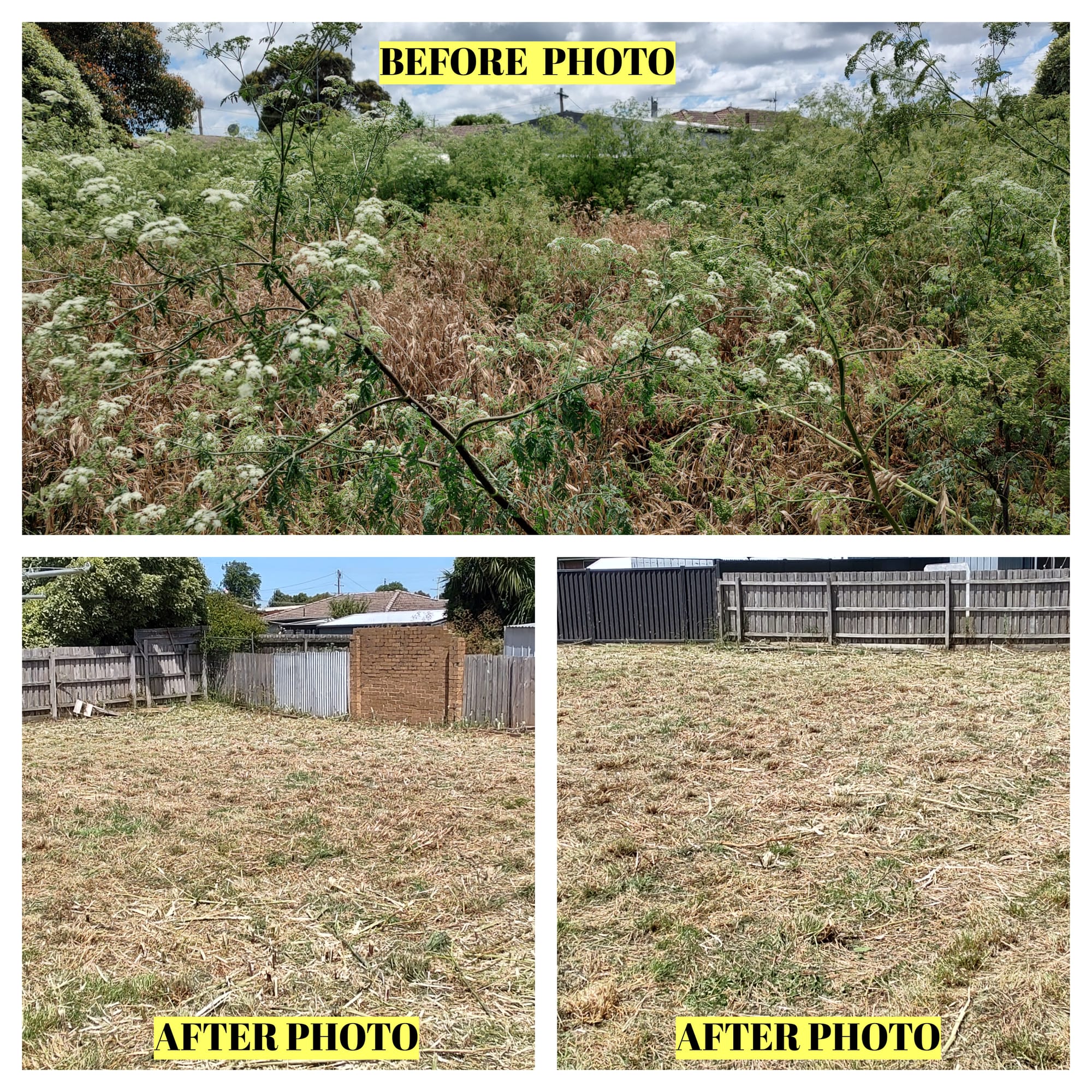 Pristine Properties Ballarat Carpet Cleaning