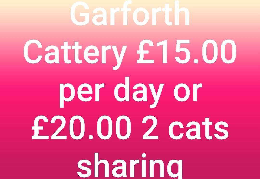 Garforth cattery Garforth catteries