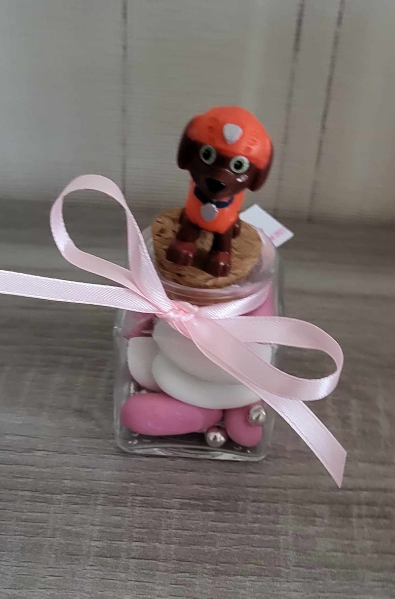 Pot à dragées pat patrouille La Boutique de Tiatia