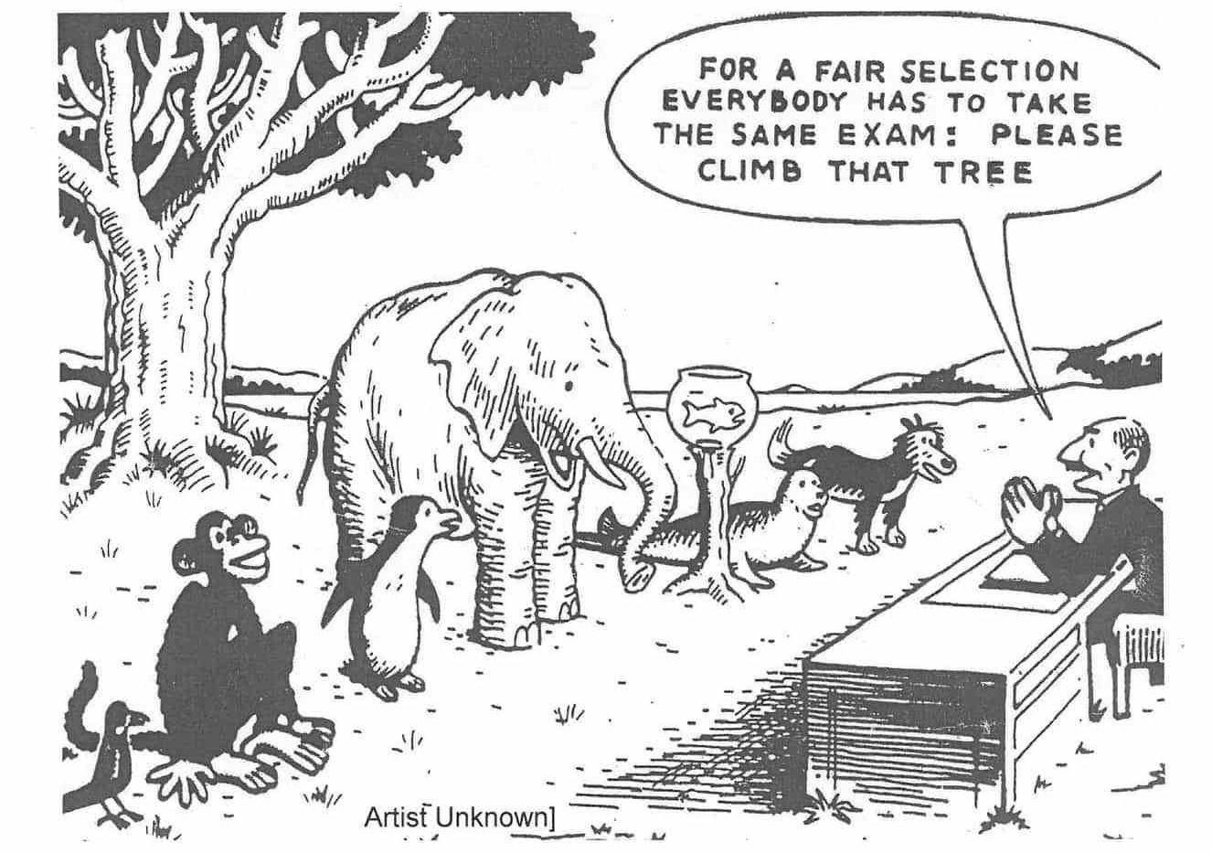 Understanding test results and data schools share.