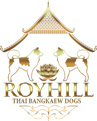 THAI BANGKAEW ROY HILL