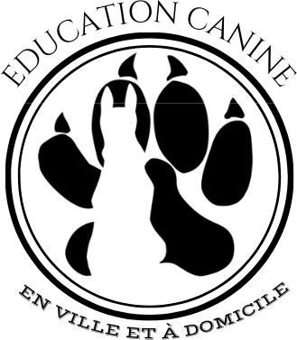 AS DOG Education canine