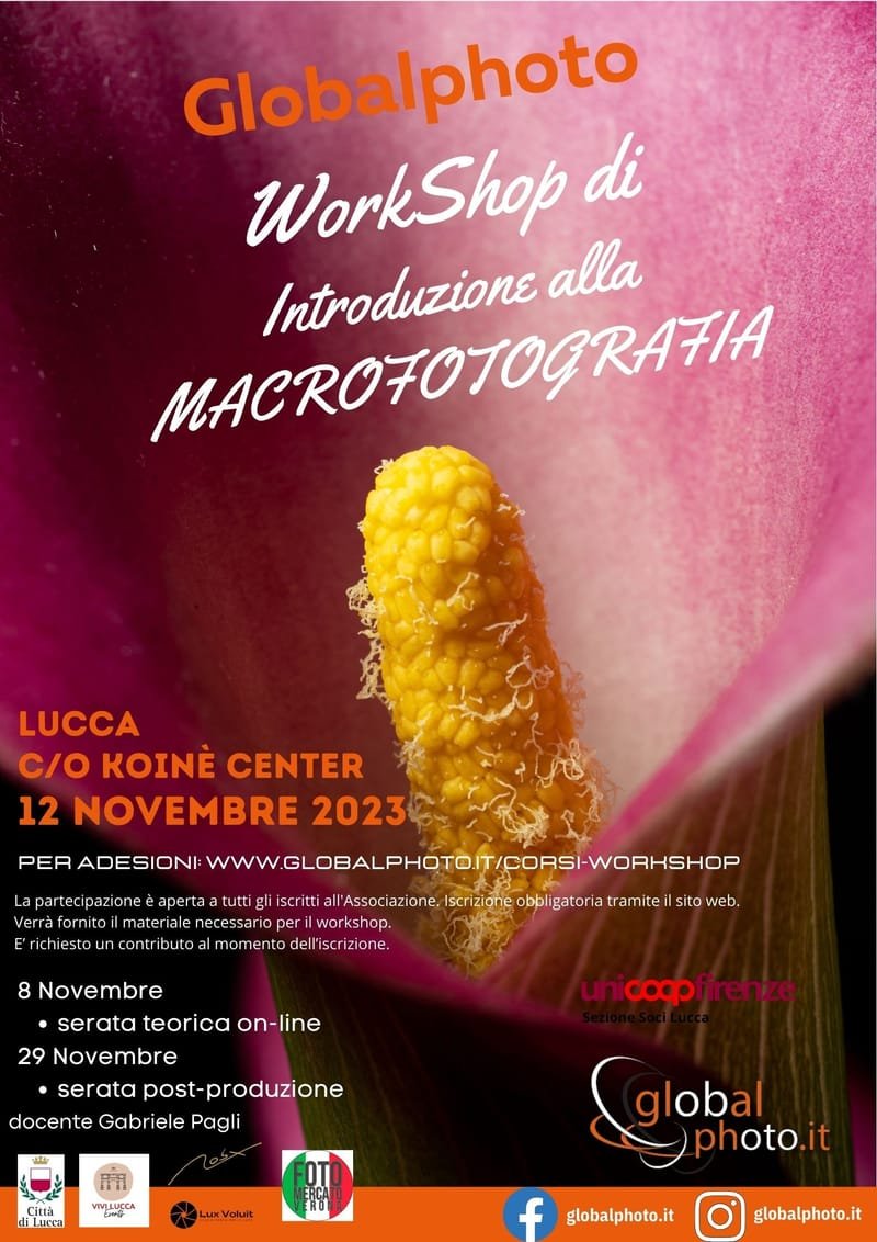 Workshop di introduzione alla MacroFotografia