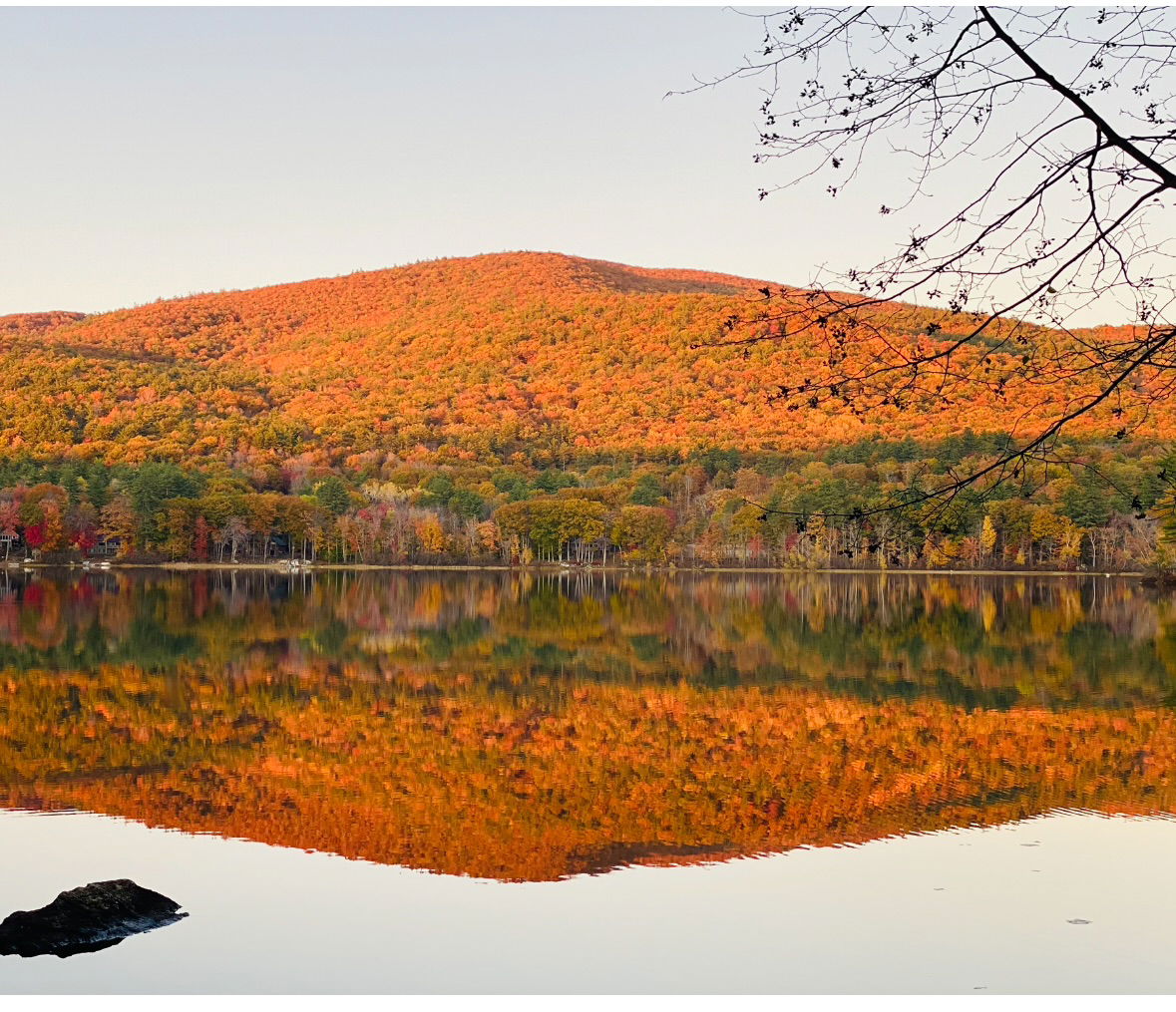 View of Red Hill at The Wakondah Retreat