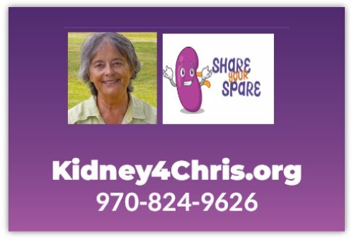 Kidney4Chris.org Perforated Window Decal