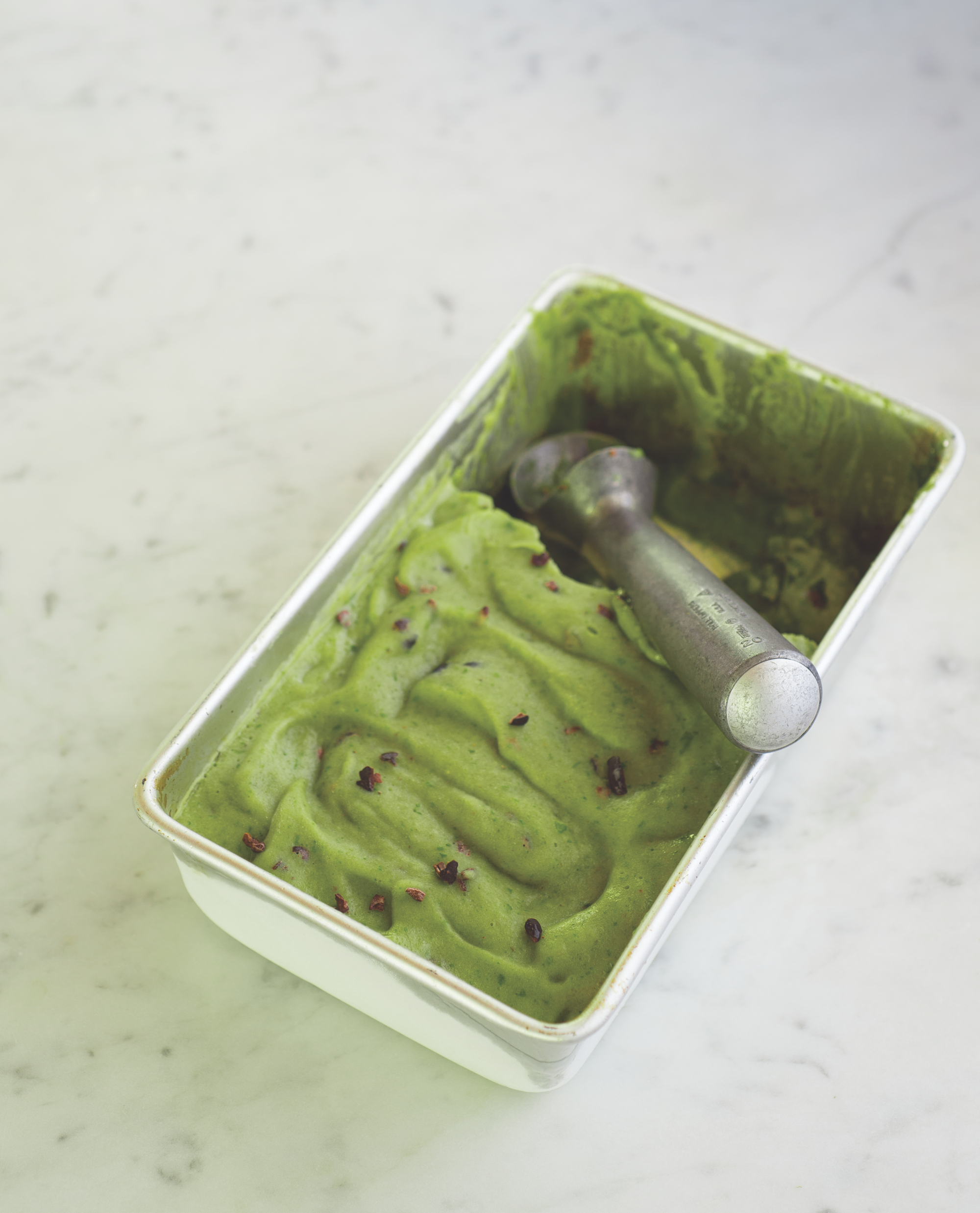 avocado mint chocolate chip gelato