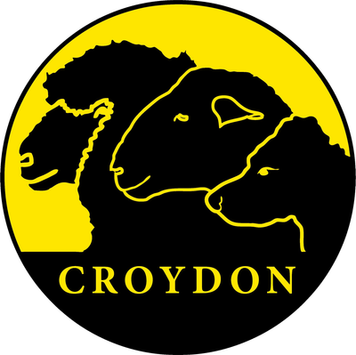Croydon Corriedales and Suffolks at Condah