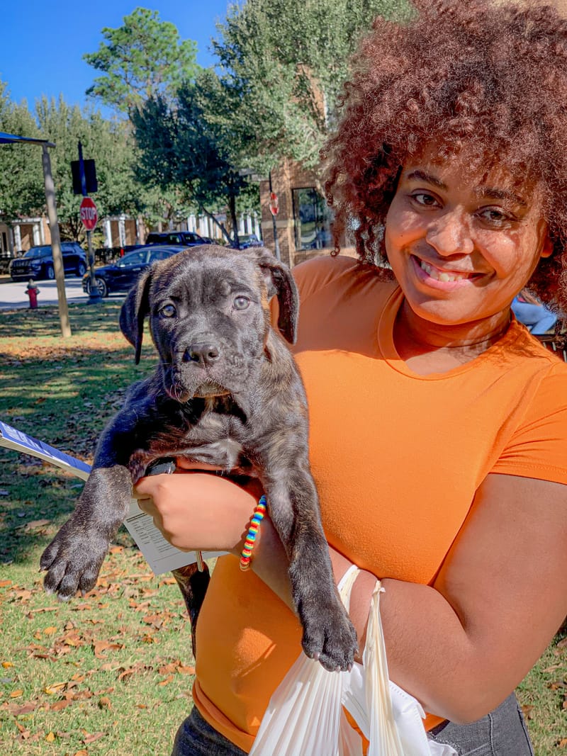 SOUTH CAROLINA ELECKTRA Vulcan Cane Corso