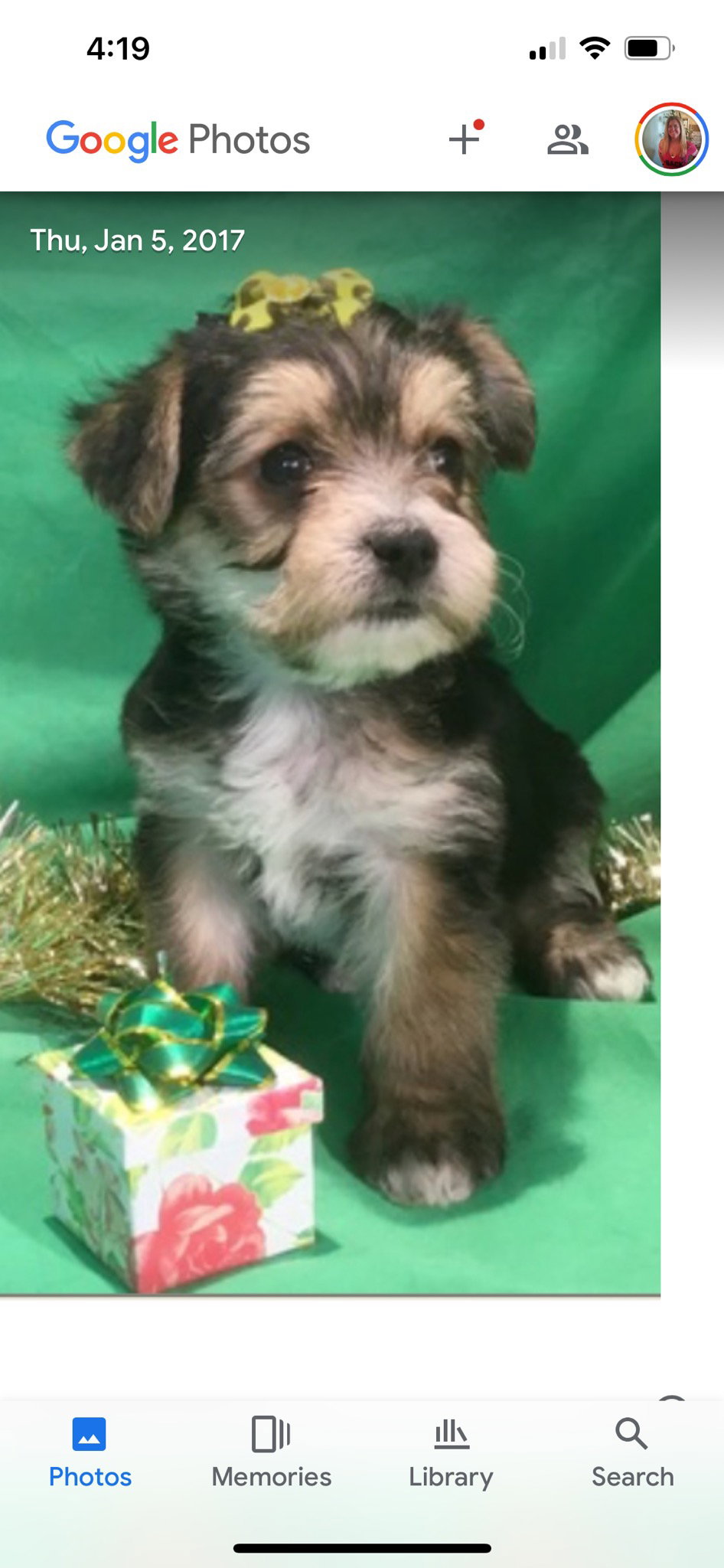 Our Pups in the wild Best Friends Kennels