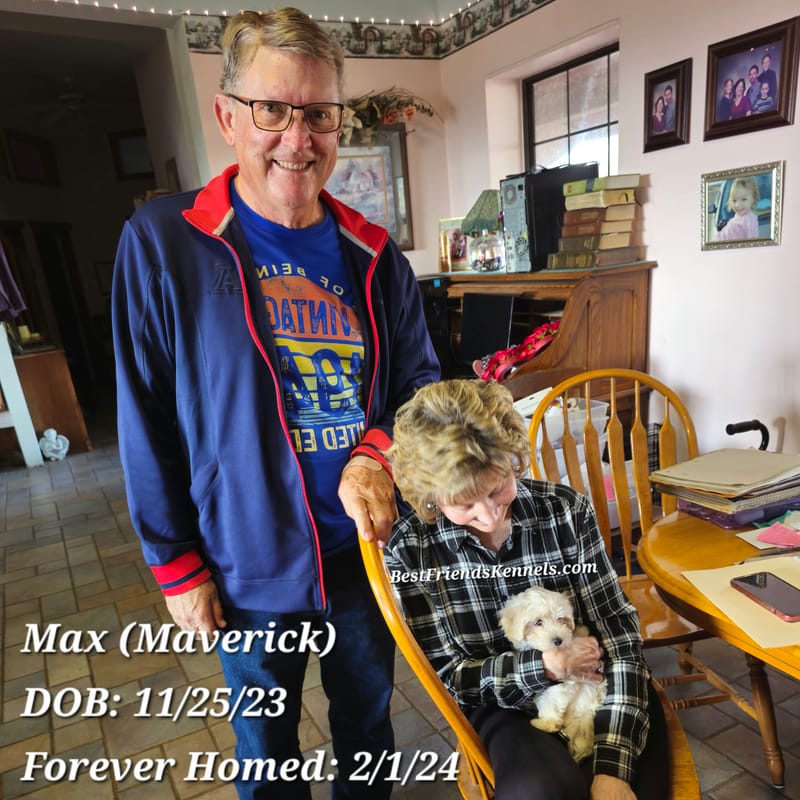 Max (Maverick) Best Friends Kennels