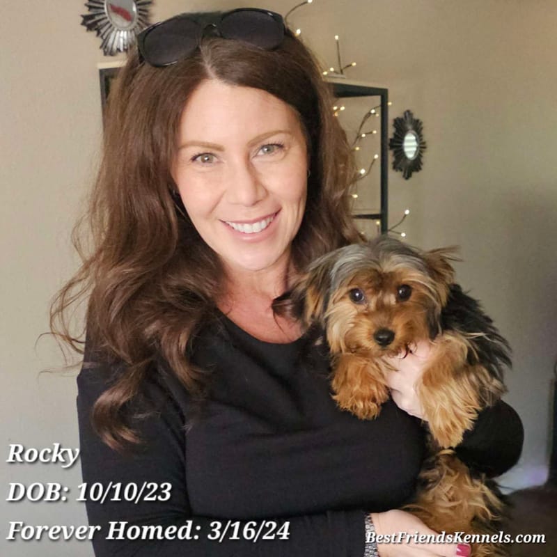 Rocky Best Friends Kennels