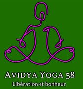 Avidya yoga 58