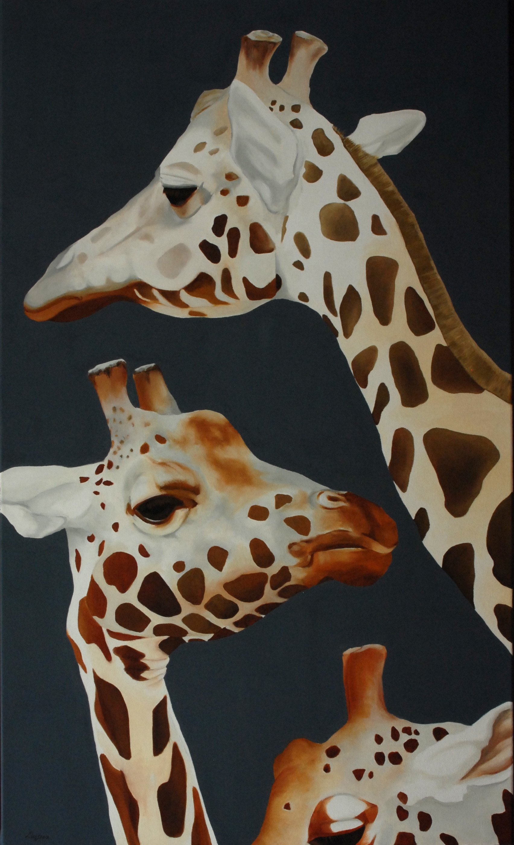 Série Girafes - 3