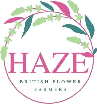 Haze Wholesale Flowers
