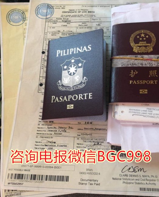 申请菲律宾商务签证流程