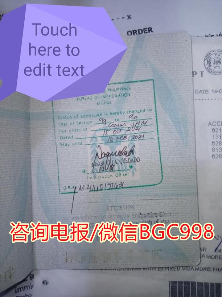 中国公务护照在菲律宾怎么办理签证