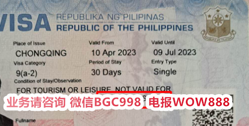 菲律宾13A签证中国人需要满足什么条件