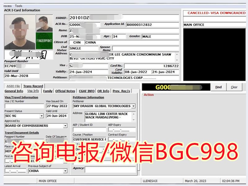 菲律宾绿卡多少钱?申请过程复杂吗?