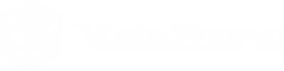 MetaStone