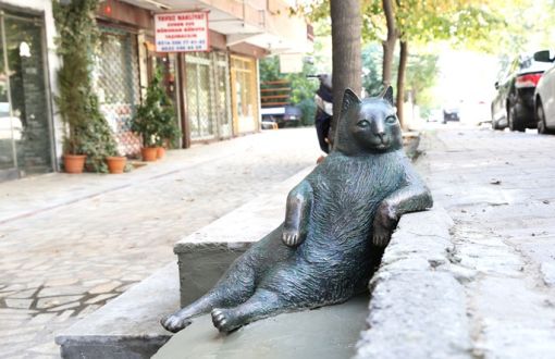 Tombili: A Monument to a Beloved Cat in Istanbul