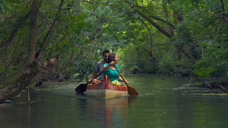 Kirándulóhelyek a Tisza-tónál