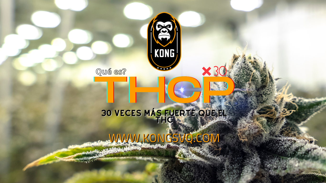 THCP. 30 veces más fuerte que el THC.