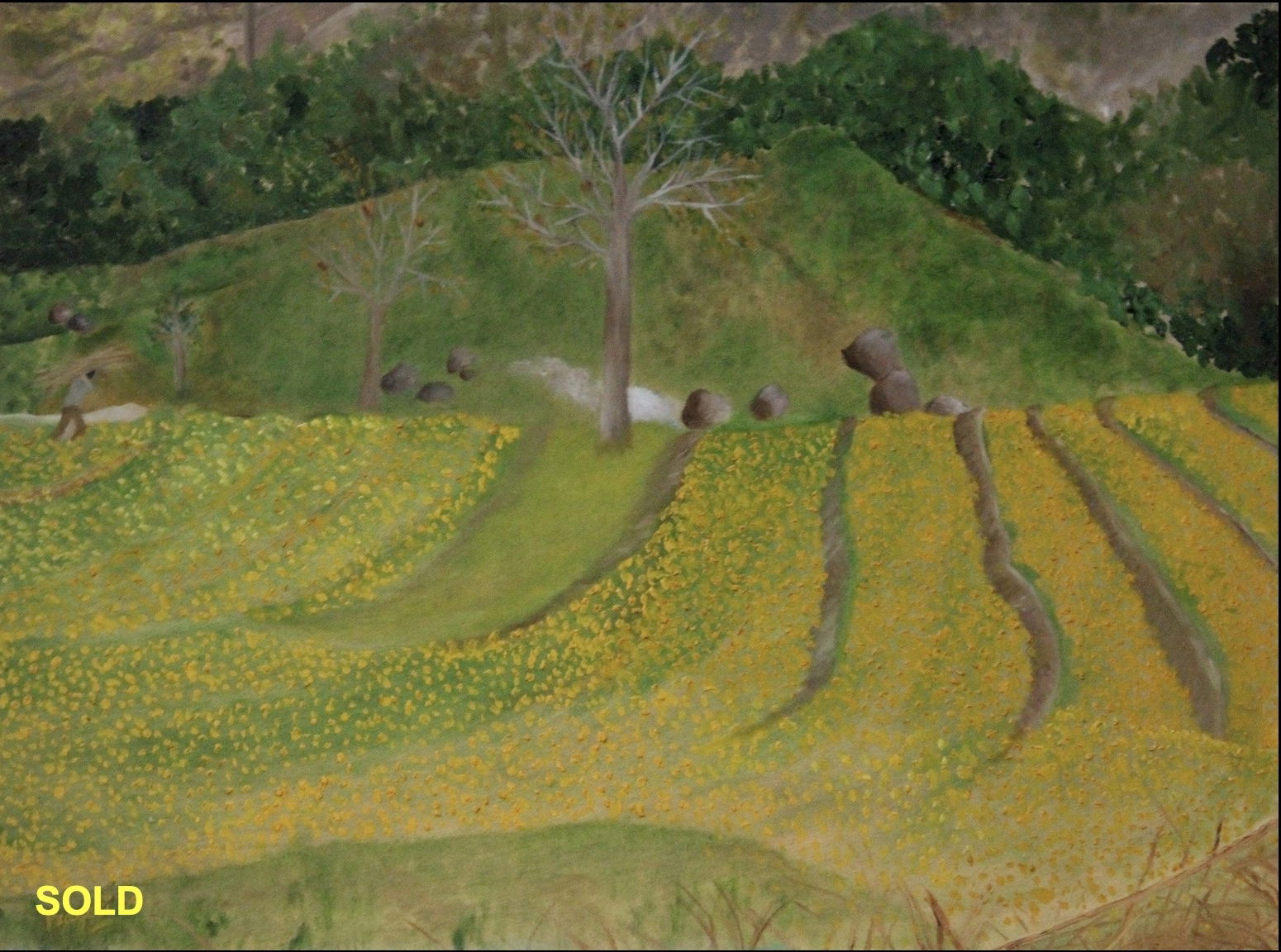 Golden Fields of Palampur - Sold