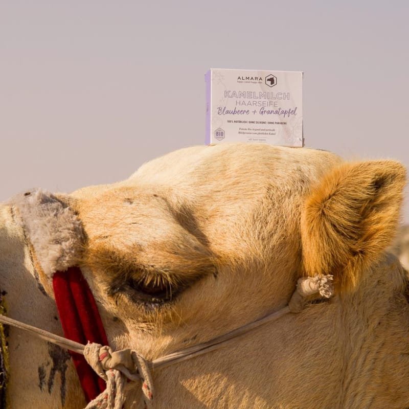 badekugeln- kamelmilchseife - Khan Al Sabun