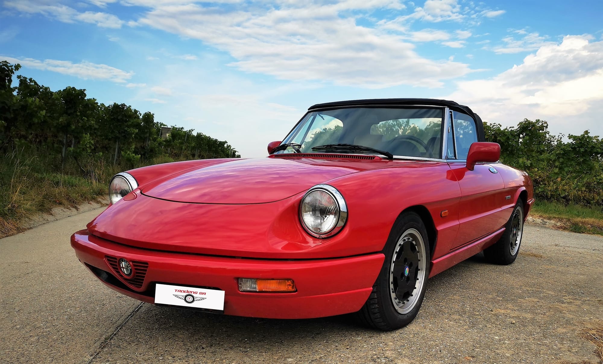 Alfa Romeo Spider 1991