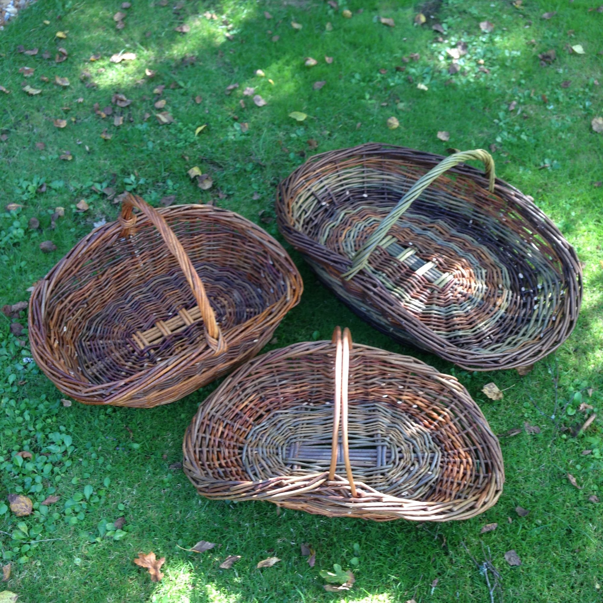 Coloured Oval Baskets